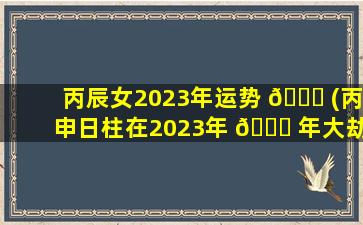 丙辰女2023年运势 🐒 (丙申日柱在2023年 🍁 年大劫难)